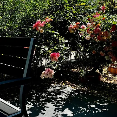 Promenade By Bestchoice - Self Check-in With Parking Option Apartmán